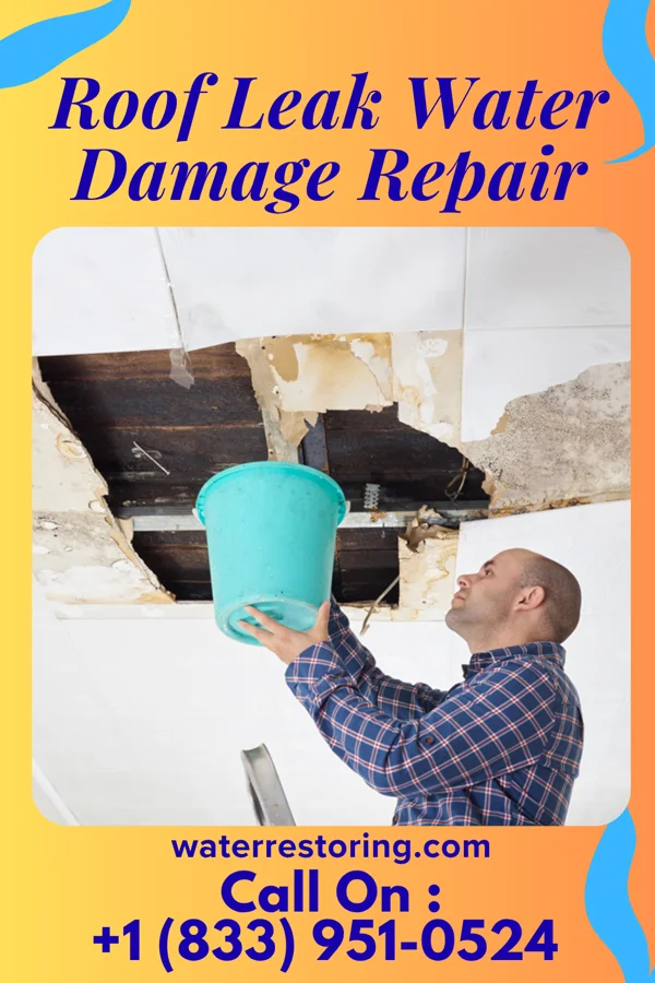 Roof Leak Water Damage Repair in Hereford, TX