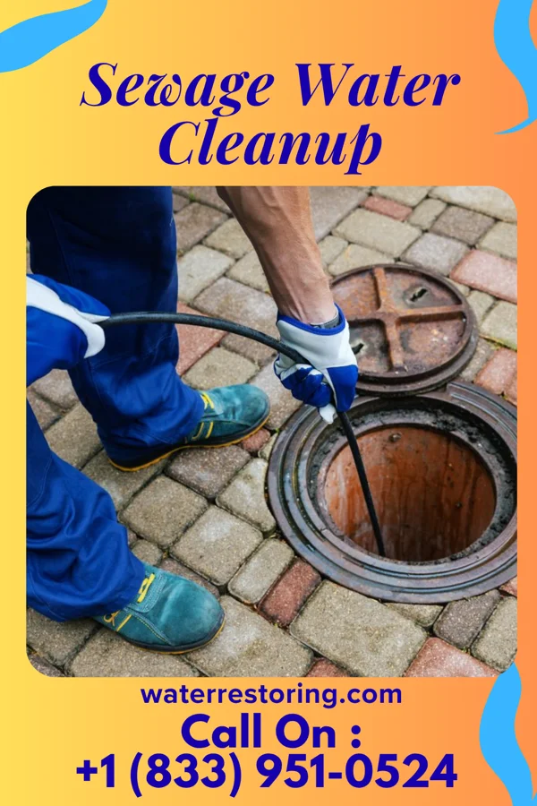 Sewage Water Cleanup in Hereford, TX